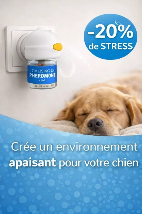 Miniature kit chien vue 5